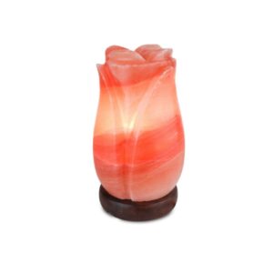 Himalayan Salt Rose Shape Lamp